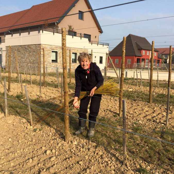 Photos page d’accueil Wittelsheim 5