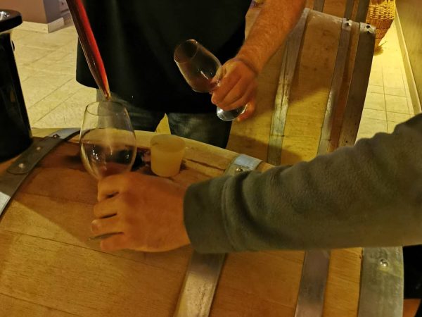 Travail de la vigne Wittenheim 28