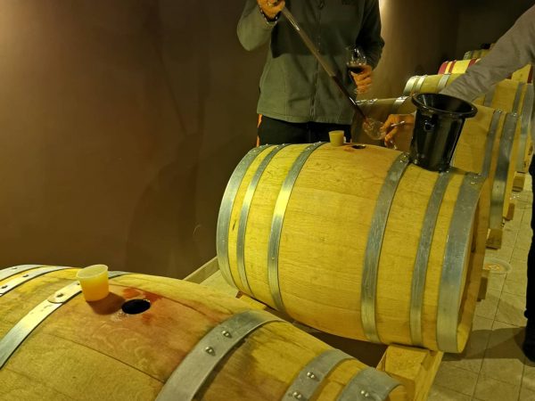 Travail de la vigne S&eacute;lestat 29