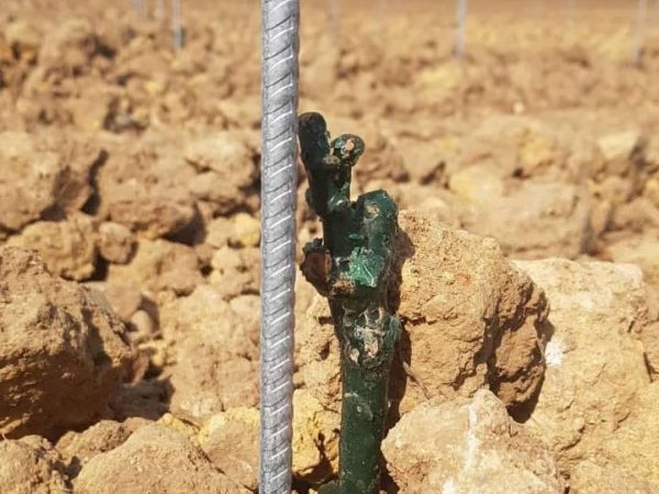 Travail de la vigne Wittelsheim 22