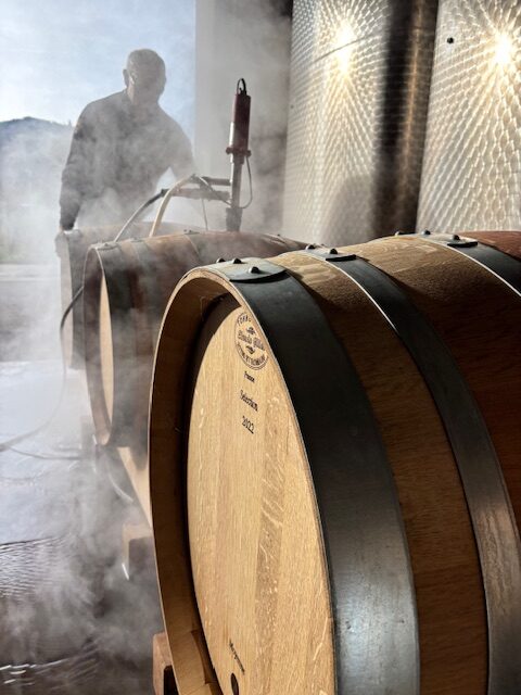 Visites de cave, d&eacute;gustations de vins bio et &eacute;v&eacute;nements priv&eacute;s en Alsace Colmar 0