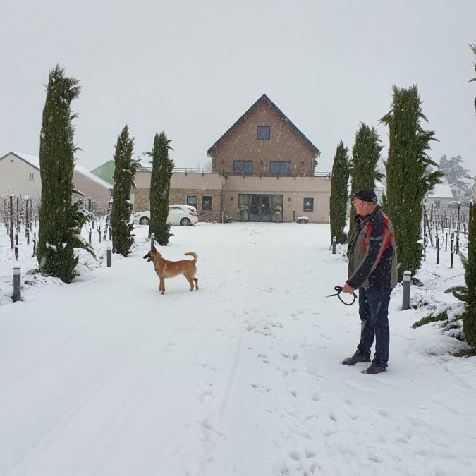 Domaine Riedisheim 2