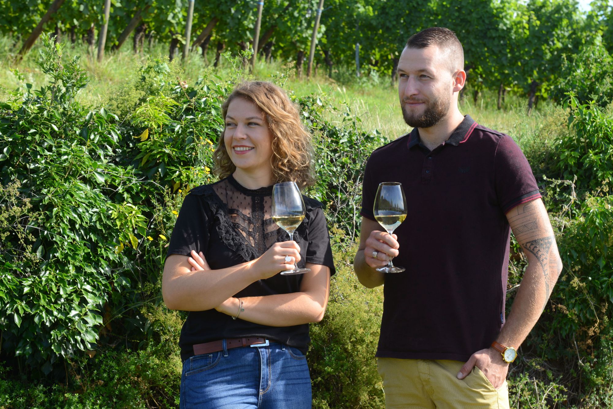 DOMAINE SAINT REMY7 | Domaine Saint-Remy Nouvelle génération, nouvelles étiquettes Wittenheim 0